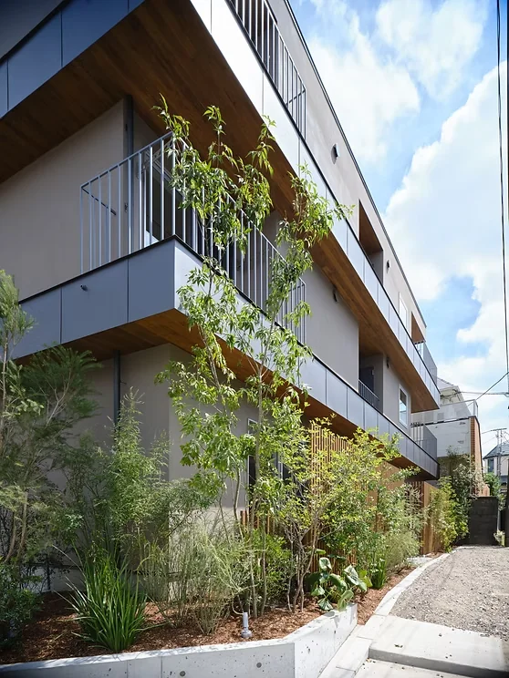 nico terrace