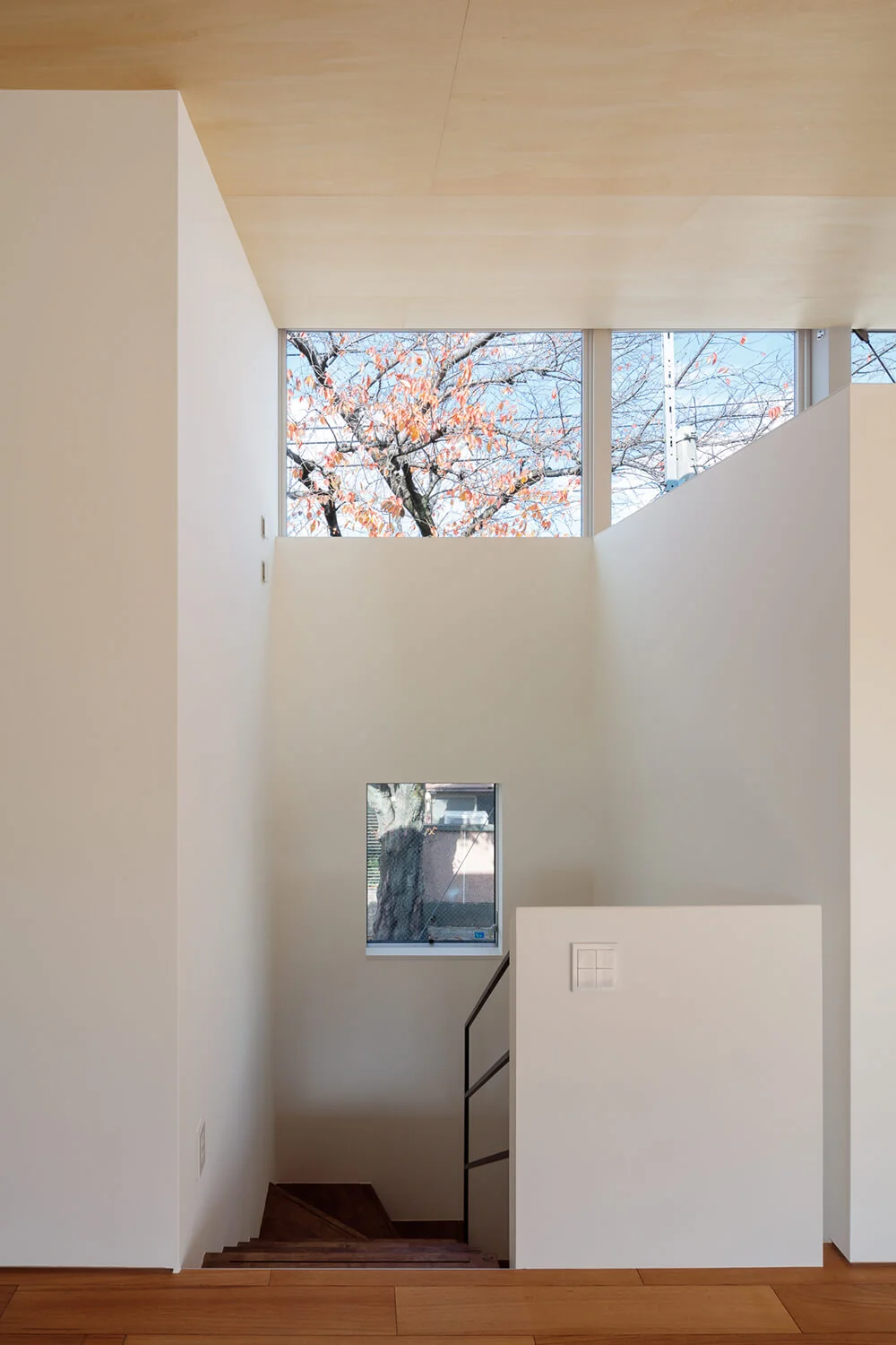 Window detailing is deliberately minimalistic to maximize unobstructed views of the cherry blossoms.