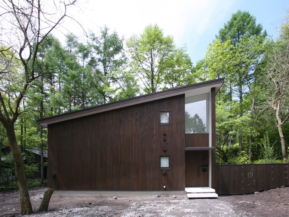 A simple mono-pitched roof form contrasting with the surrounding woodland scenery