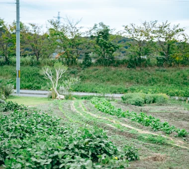 GARDEN（aem）｜プロジェクト