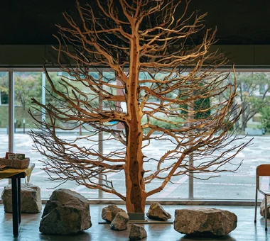 AWAJI EARTH MUSEUM｜プロジェクト
