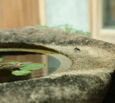 pucapuca comune｜施設建築