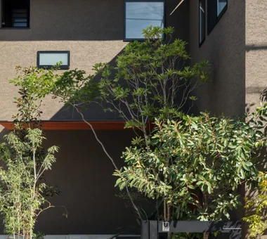 House with a Natural Woodland Garden｜Key Points for Home Building