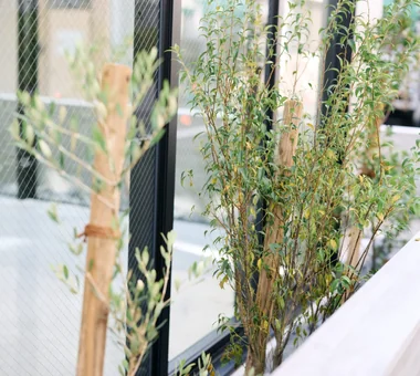 SHIBA-SHINJU OFFICE｜オフィス｜施設建築