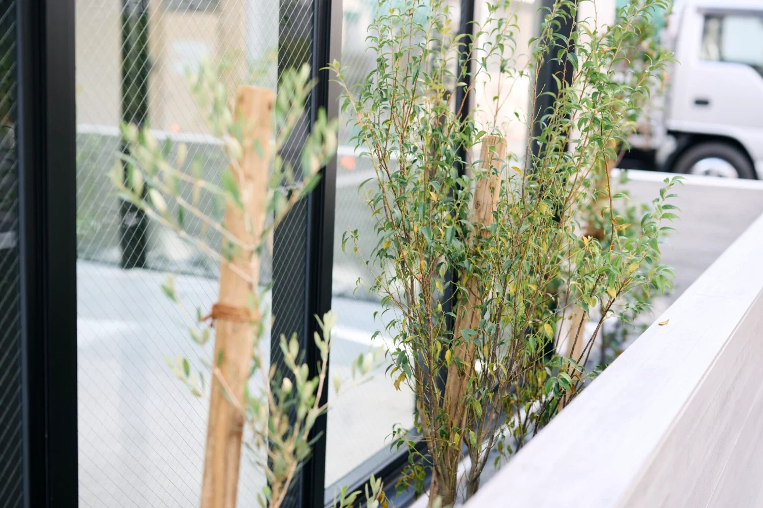 SHIBA-SHINJU OFFICE