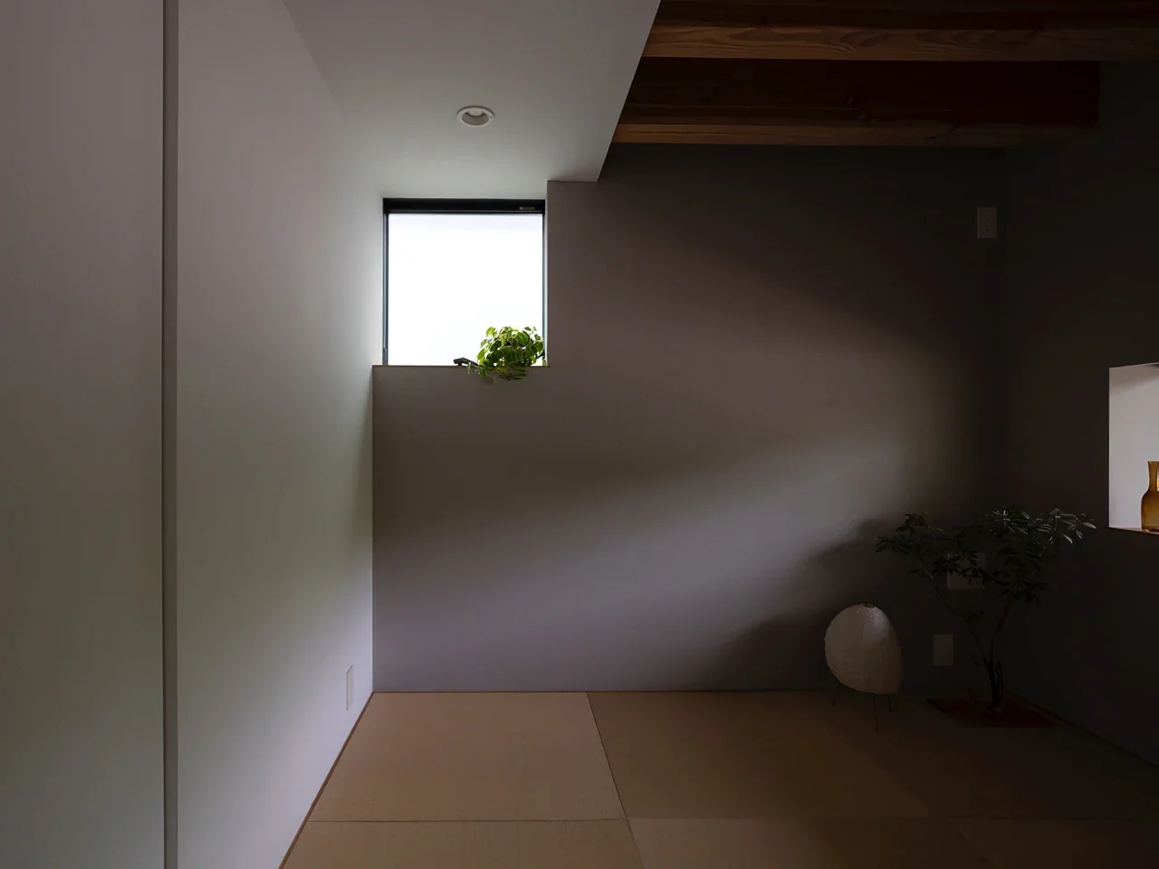 木漏れ日の家