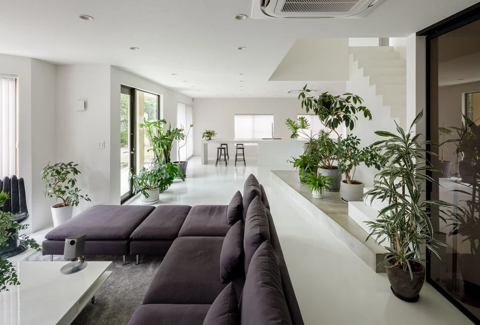 A white-based interior enveloped by a vibrant array of lush indoor plants
