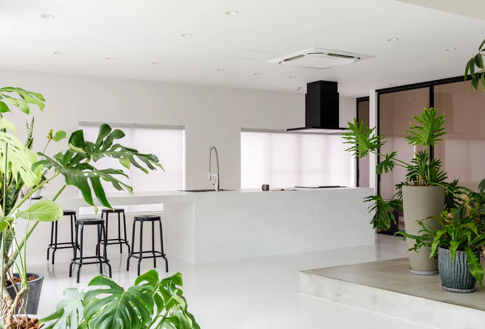 A striking 5-meter-long kitchen crafted from Mortex that commands the space