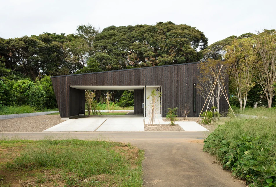 Forest Living