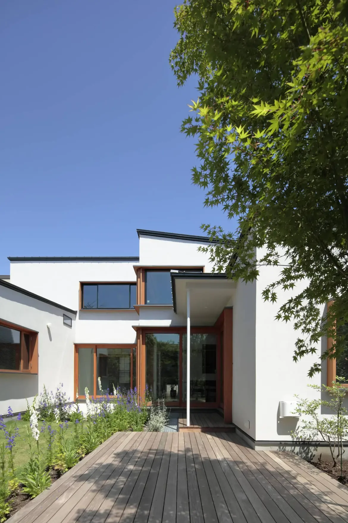 House TI