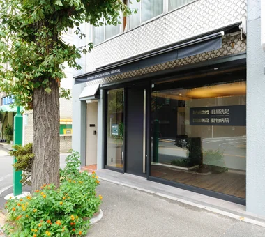 Meguro Senzoku Animal Hospital｜Animal Hospital｜Project