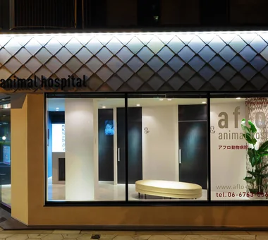 Afro Animal Hospital｜Animal Hospital｜Project
