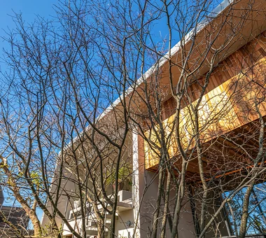 與植物共生的住宅｜有庭院的住宅｜客製化住宅｜外觀