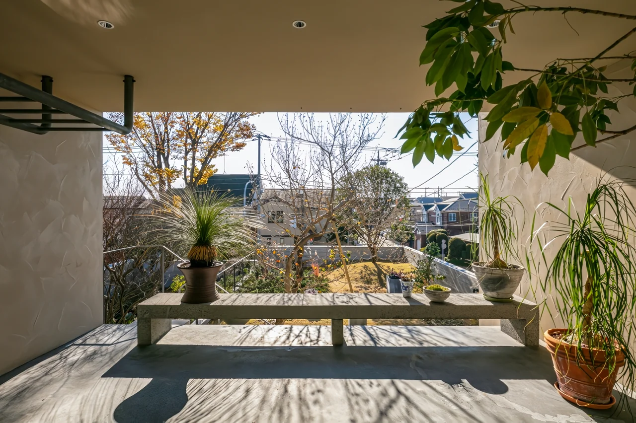 A Home Living with Plants