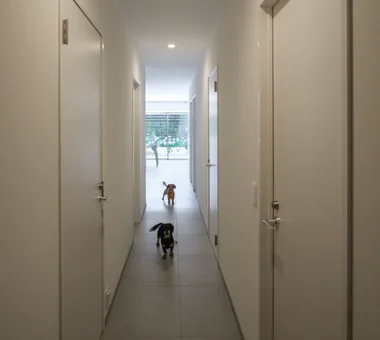 下鴨の家－テラスのあるマンションリノベーション－｜シンプルな家｜注文住宅｜廊下