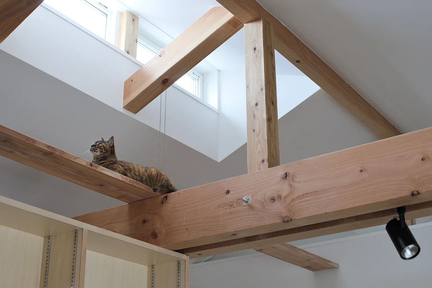 The space between the two beams accommodates upward-facing indirect lighting and a downward-facing lighting track.