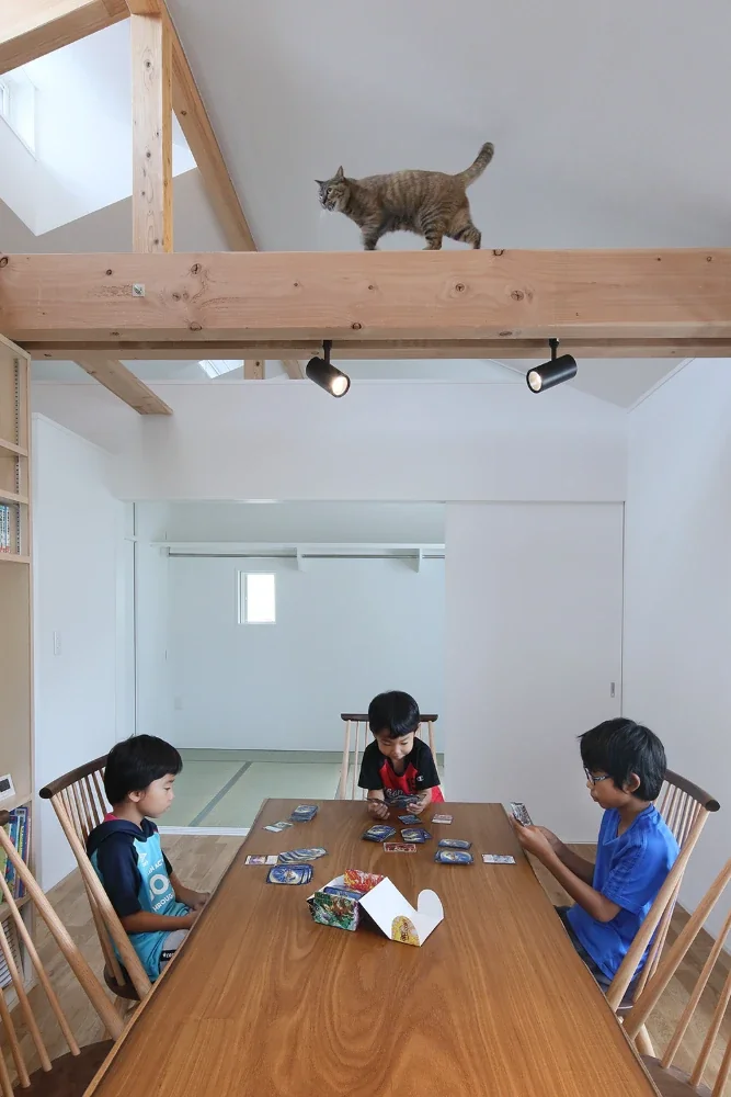 Sumire the cat walks along the beam above the dining table.