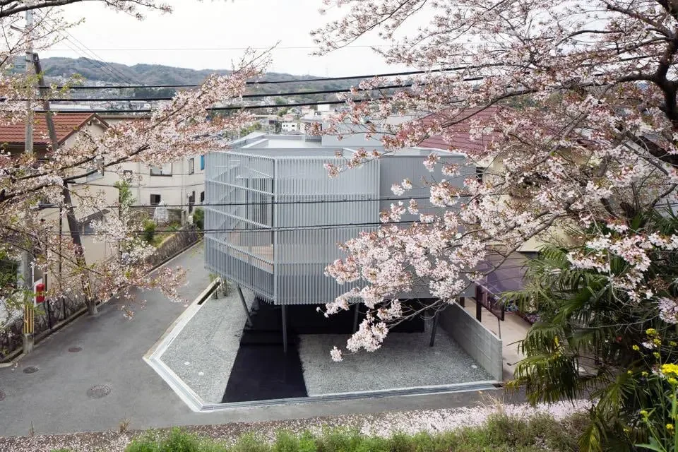 SAKURA House