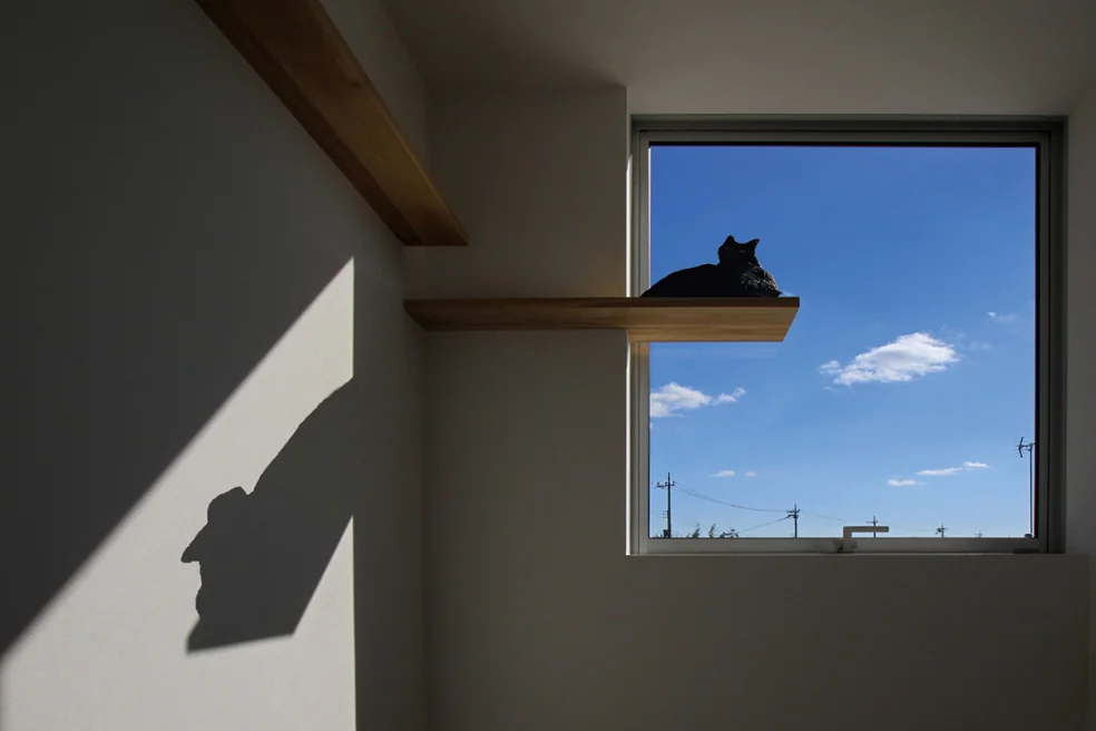 二楼南侧的洗衣区，阳光充沛的上午时光，是猫咪们的理想休憩之地｜横与竖