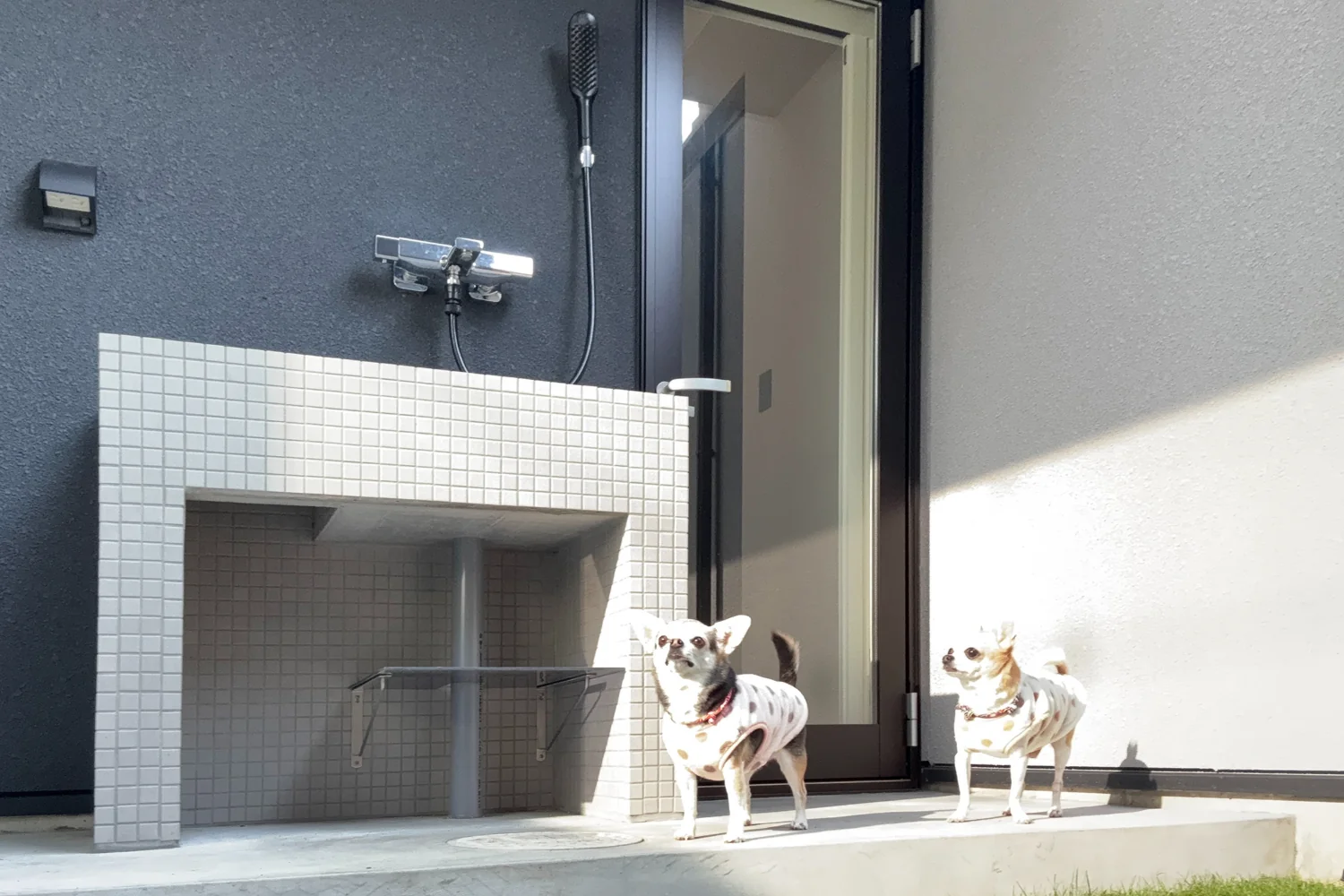 全身シャンプーもできる中庭の足洗い場