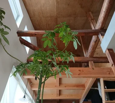 伏見深草の住宅改修｜デザイン好きの家｜ルームツアー｜注文住宅