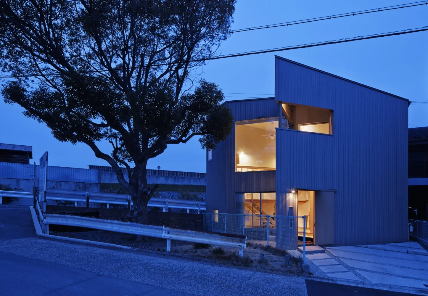 クスの木と建物の夜景外観。