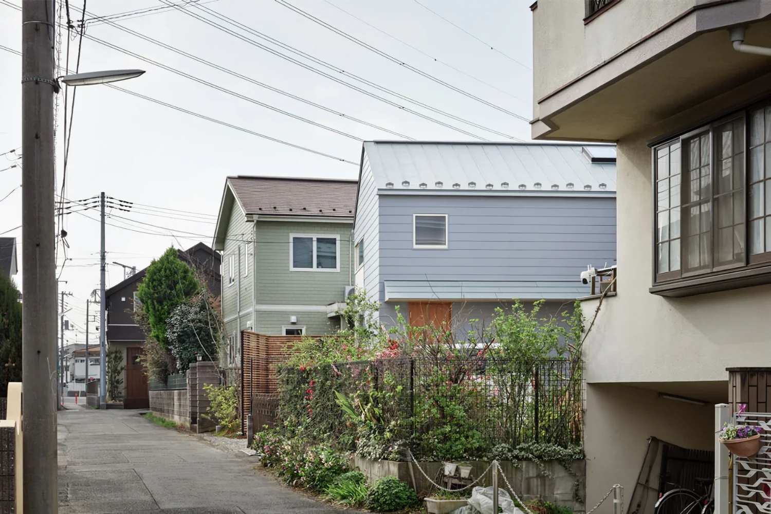 道路側に庭と駐車場をまとめた回遊の家｜hamal