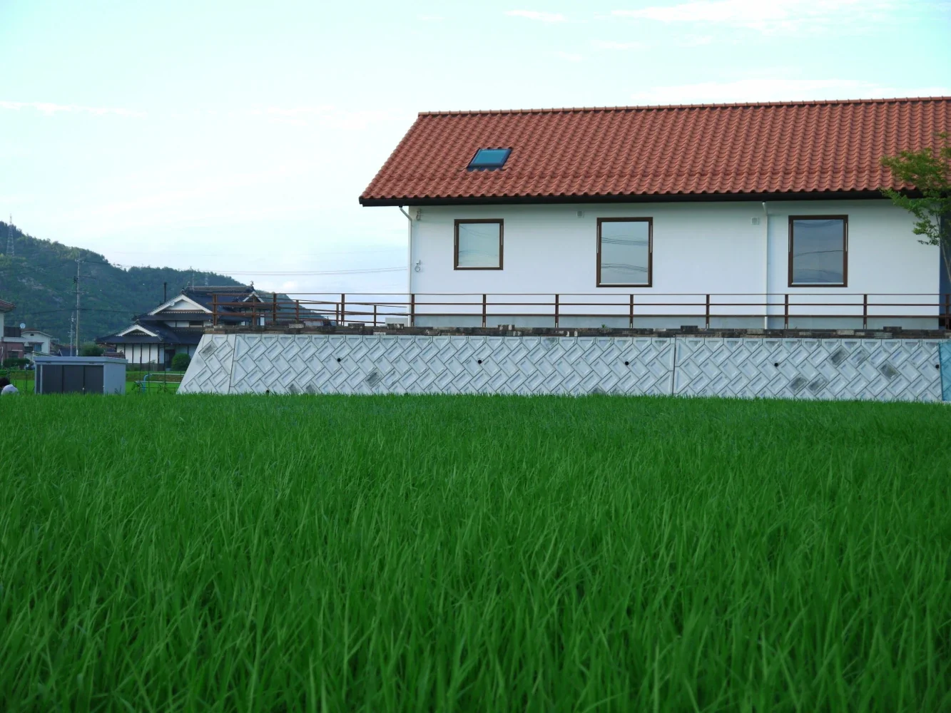 Single-story house inhabited by a chair collector