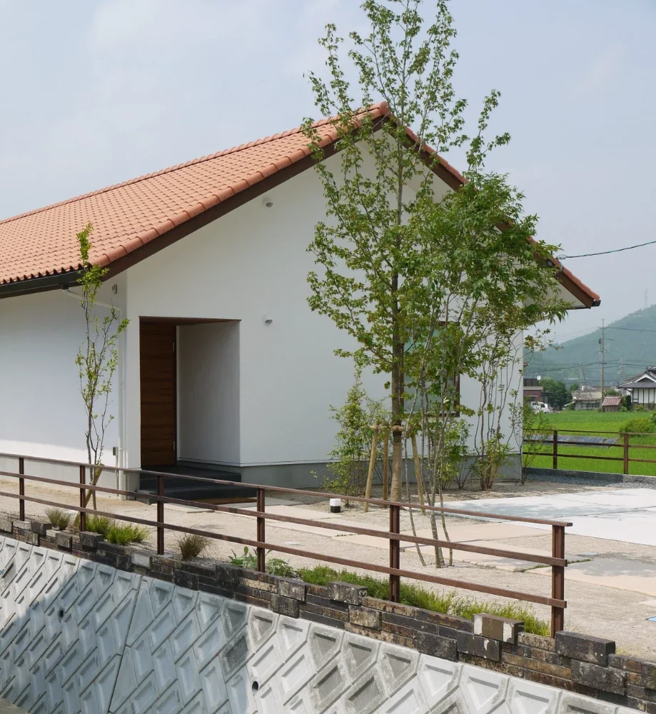 Single-story house inhabited by a chair collector