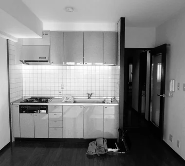 减法之家｜剔除多余的公寓改造｜紧凑住宅｜房屋参观｜定制住宅