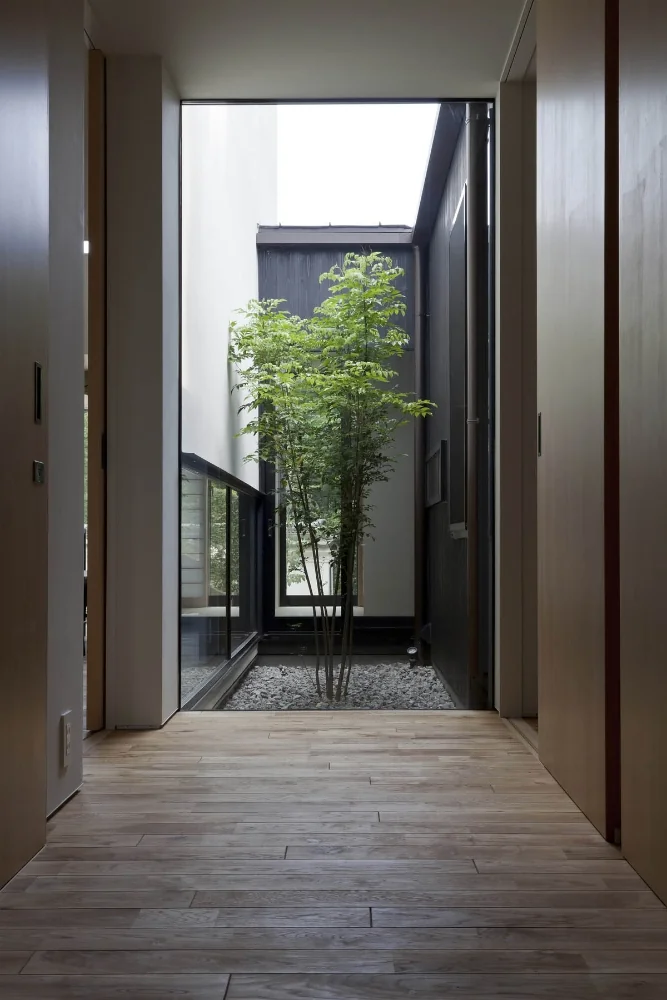The plan aligns sightlines from the entrance hall through the courtyard to the Japanese-style room, verandah and south garden.