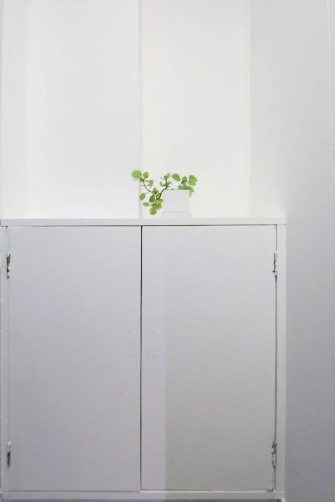Existing printed plywood and sand‑finish walls were painted entirely white.