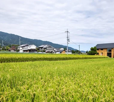 一屋檐下的两代同住住宅｜葛城山麓之家｜引入自然光的住宅｜定制住宅｜外立面