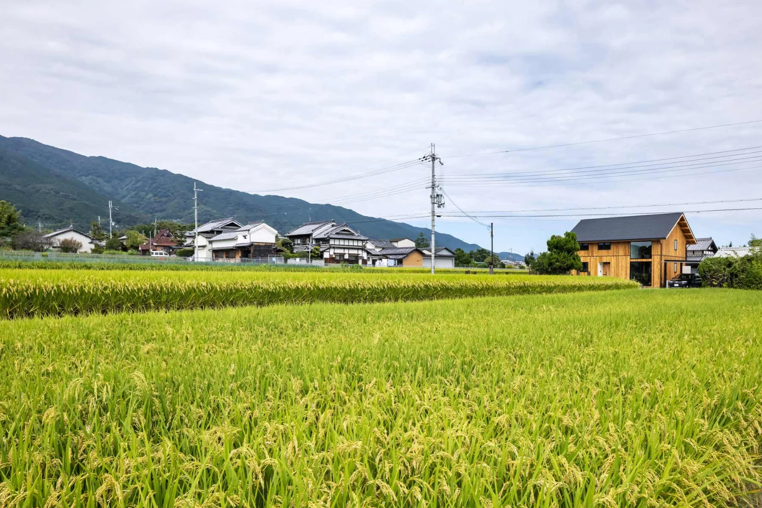 大和葛城山の東面に広がるなだらかな山裾。田畑の中に古い集落が点在する風景。