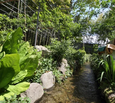 川原子の家｜ルームツアー｜注文住宅