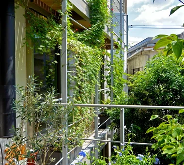 Ｕ邸｜庭のある家｜注文住宅｜庭