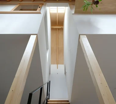 愿望｜巧妙引入光线的住宅｜房屋参观｜定制住宅