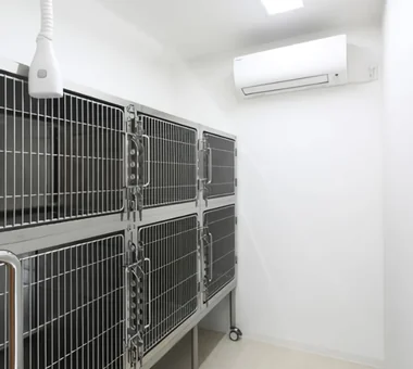 綠｜動物醫院｜公共及商業建築