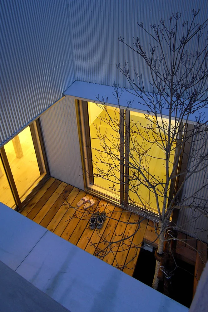 The Dwelling of Books