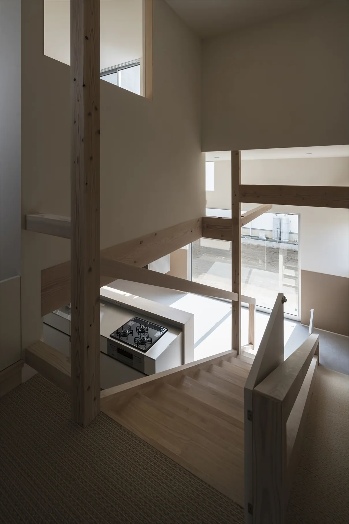 Slope House Designed for Two Large Dogs