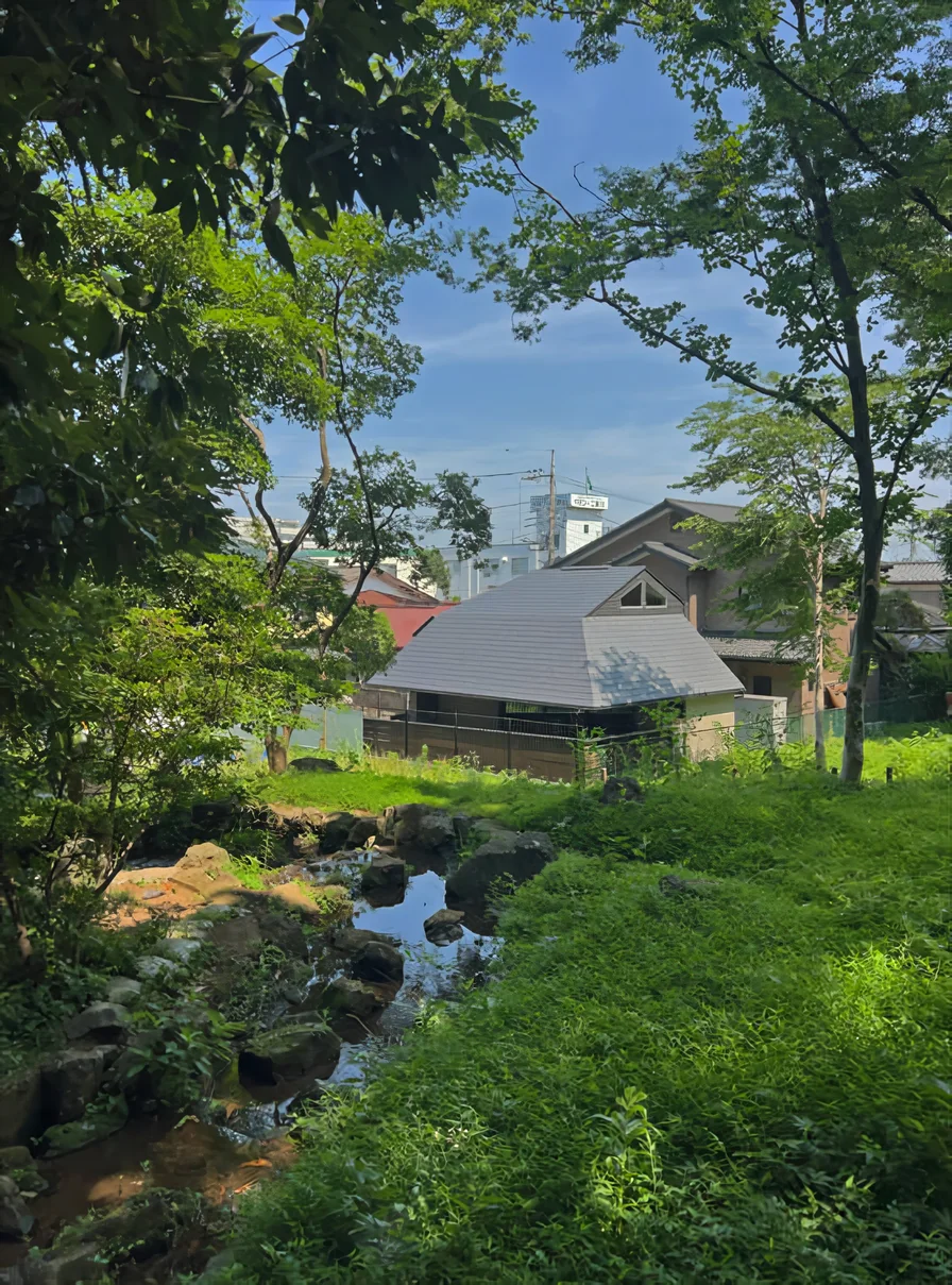 緑地に佇む音楽小屋