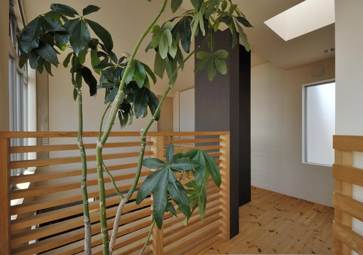 茅ヶ崎の家 + Max Clean Studio