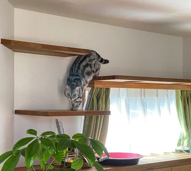 斜め４０do猫の家｜北欧デザインの家｜注文住宅｜リビング