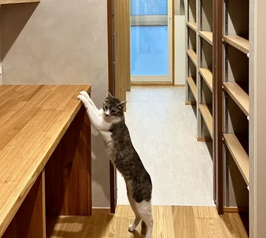 子と猫の家｜文京区のマンションリノベーション｜注文住宅｜書斎