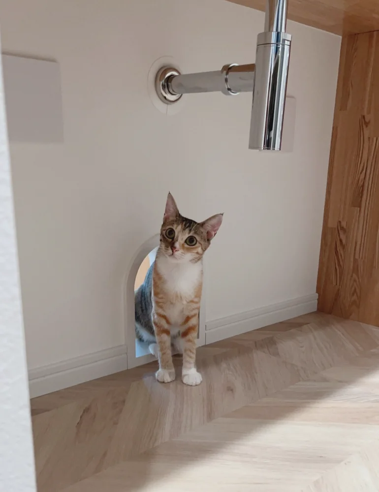猫穴で洗面化粧台下を猫トイレ置場に  猫穴が洗面所とリビングを繋いでいます。｜猫と本の家｜マンションリノベーション