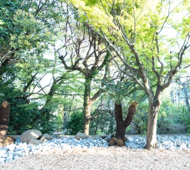 自然に囲まれた海を望む家　CASK（自然編）｜ルームツアー｜注文住宅