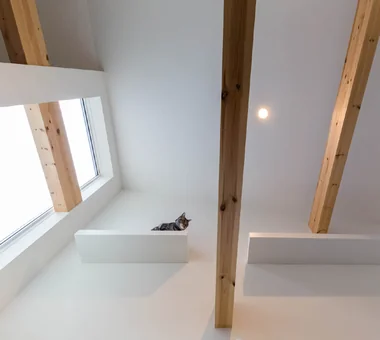 Garage House in Kyotanabe｜Modern Residences｜Room Tour｜Custom-built house