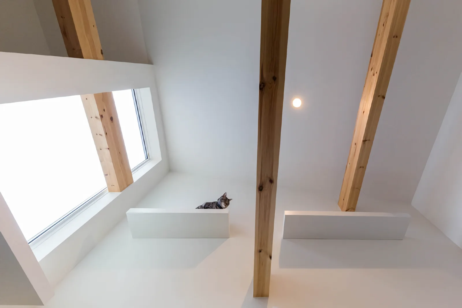 The second floor is a private space dedicated to both people and cats.