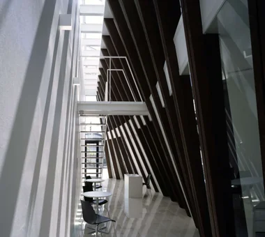 Machiya Office｜施設建築