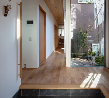 A house full of green｜植物と暮らす家｜ルームツアー｜注文住宅